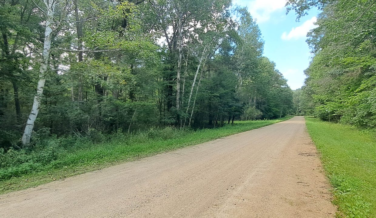 Sylvan Shores Area-22