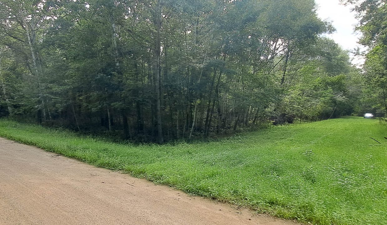 Sylvan Shores Area-25