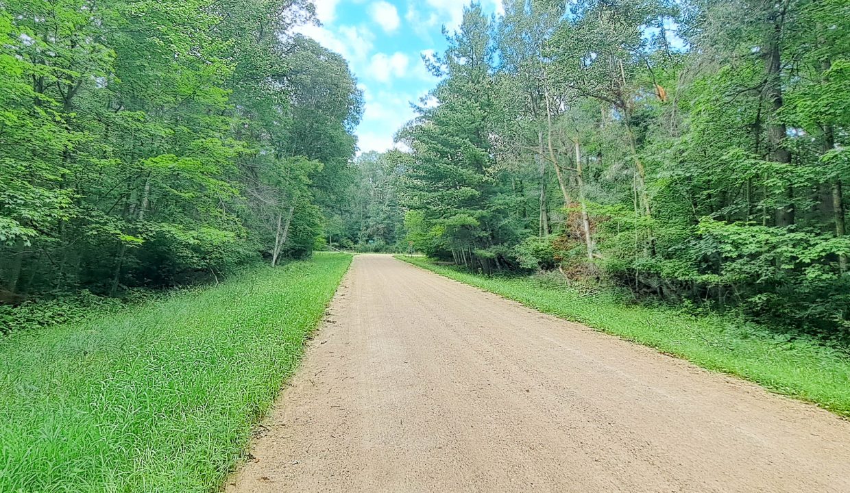 Sylvan Shores Area-36