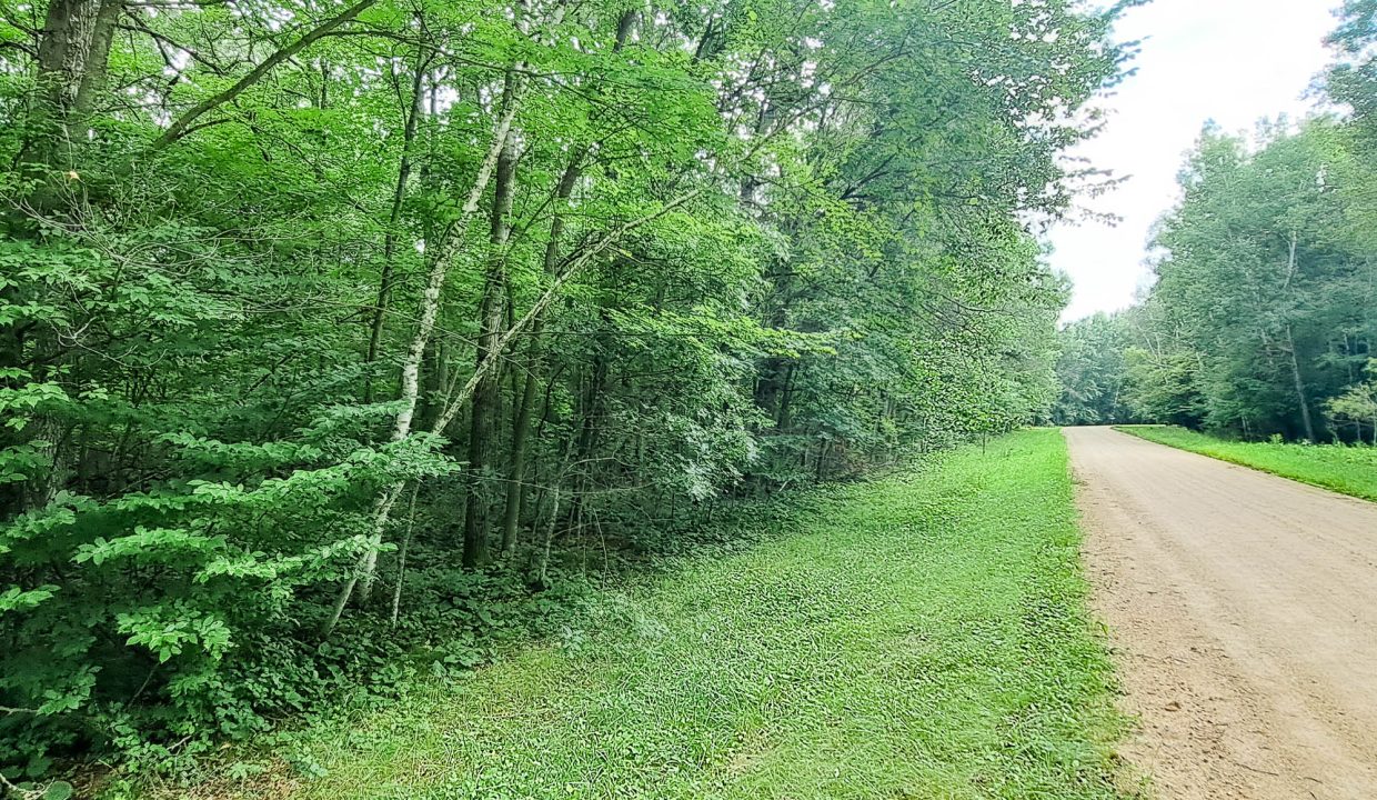 Sylvan Shores Area-38