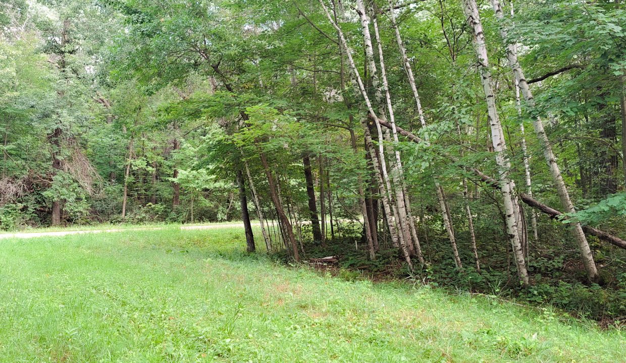 Sylvan Shores Area-1