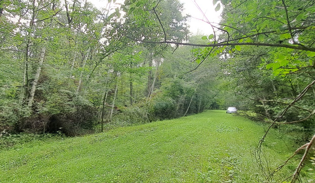 Sylvan Shores Area-7