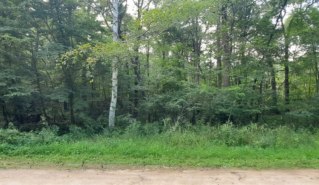 Sylvan Shores Area-27