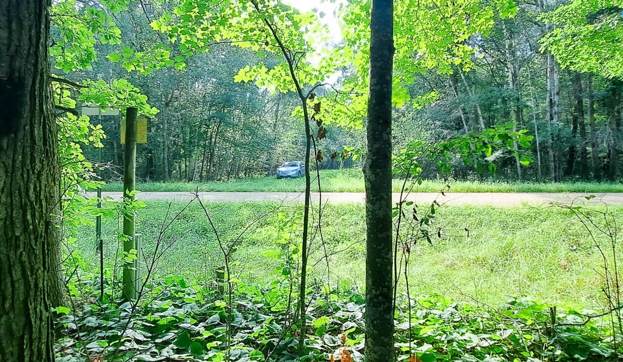 Sylvan Shores Area-30