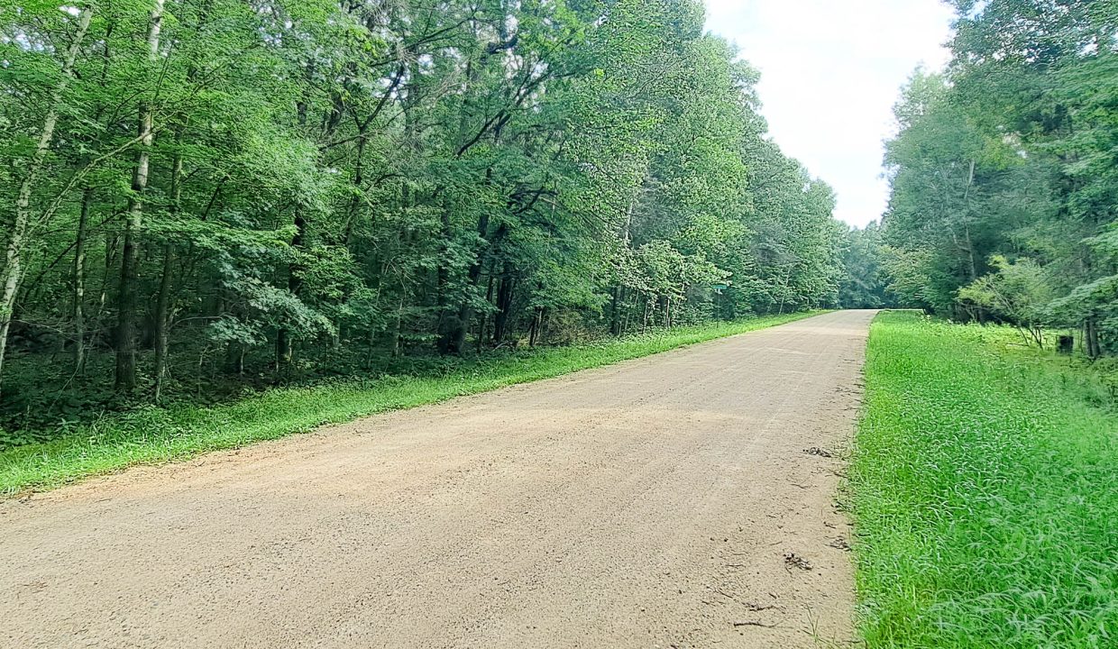 Sylvan Shores Area-34