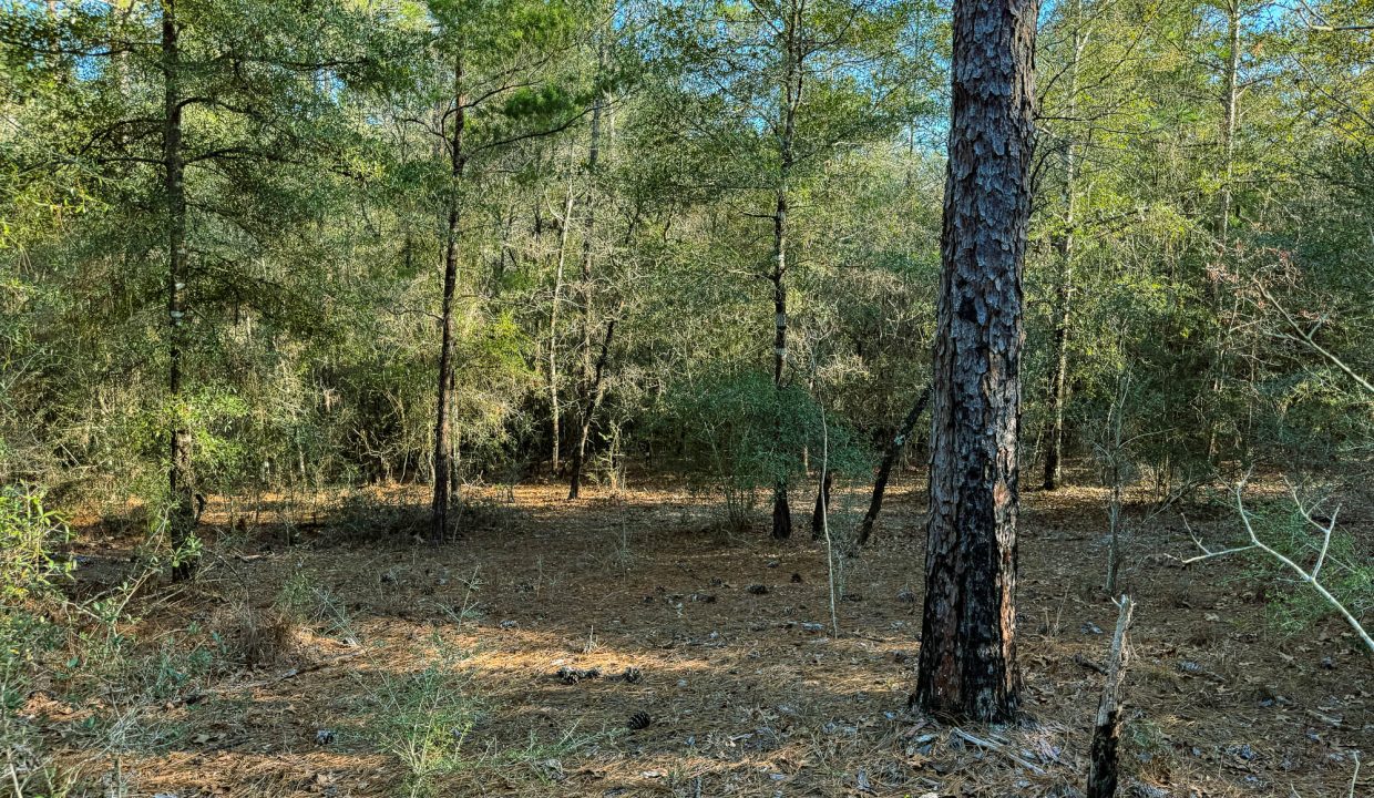 073N20280550200060-1