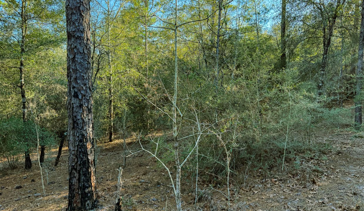 073N20280550200060-2