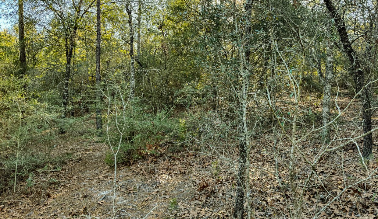 073N20280550200060-3