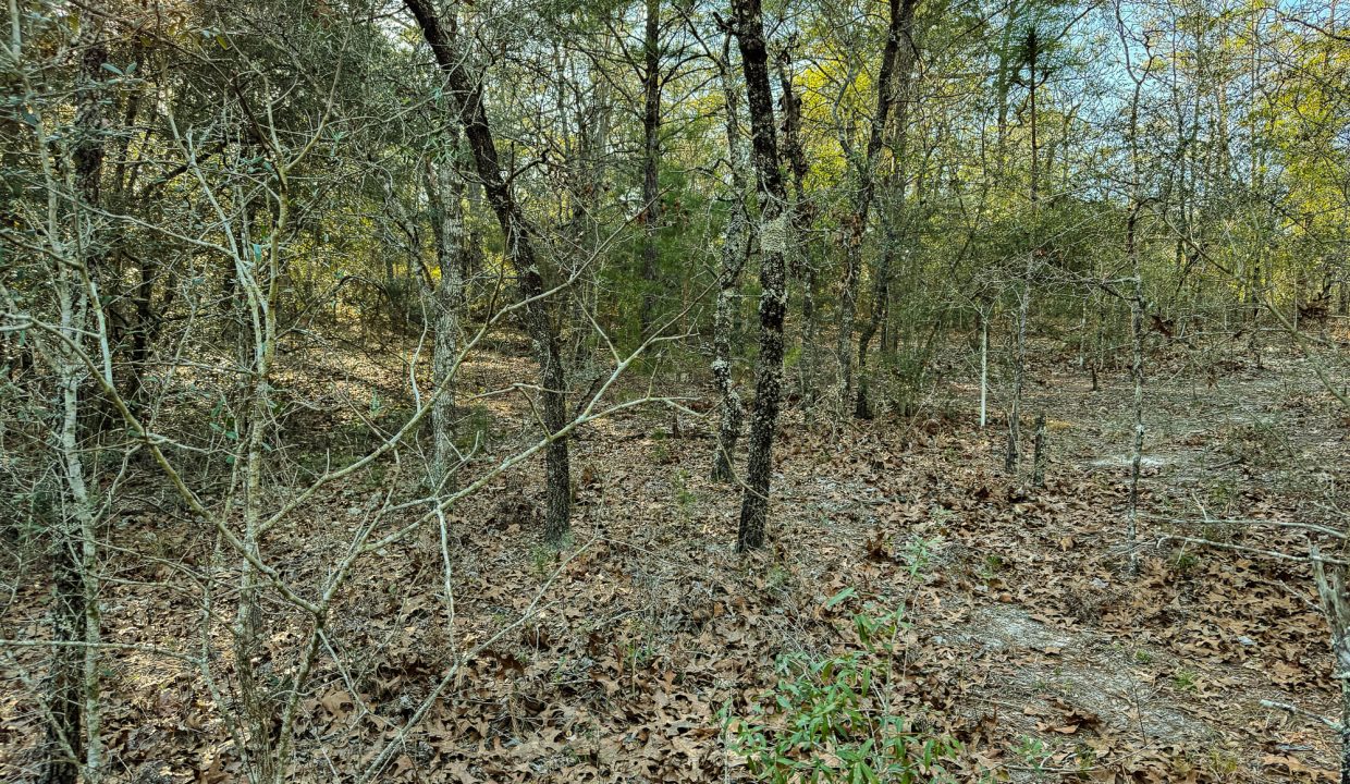 073N20280550200060-4