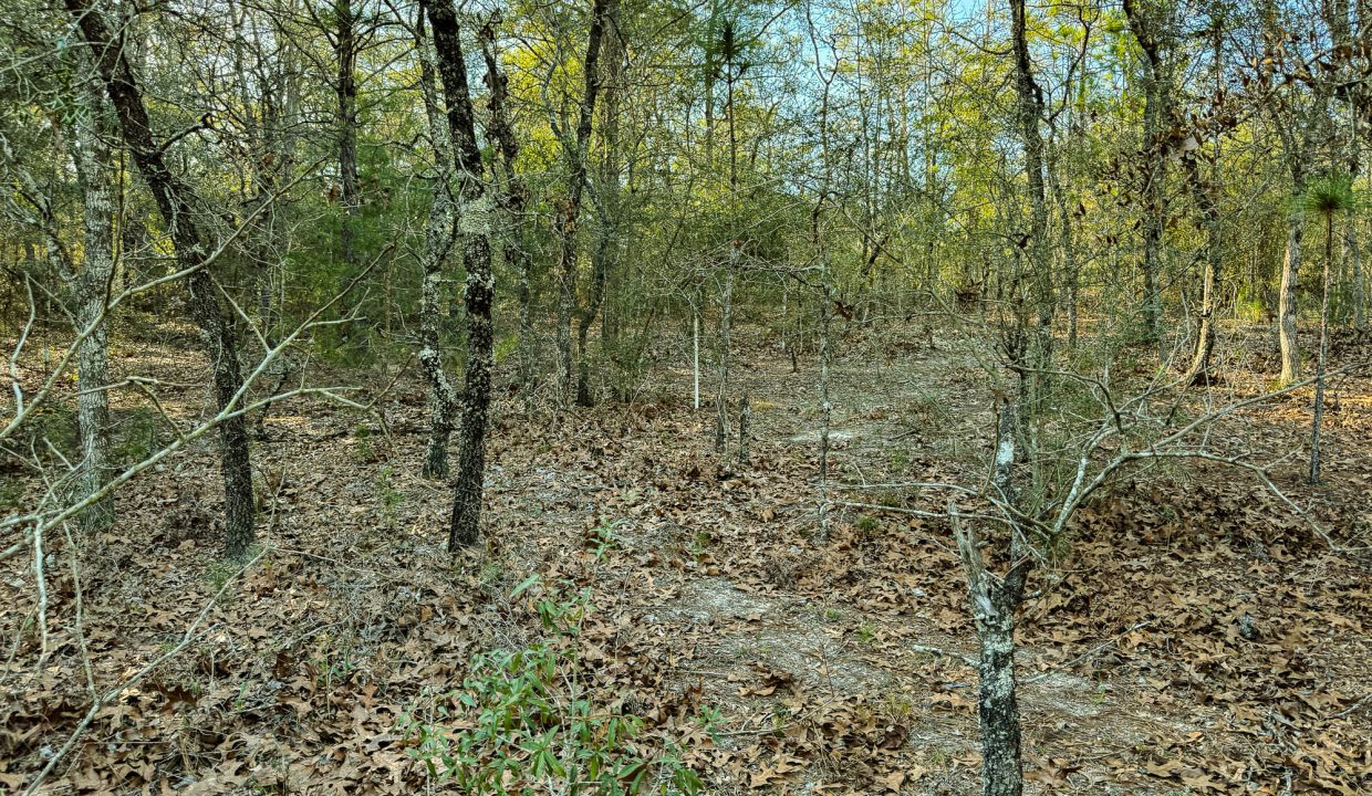 073N20280550200060-5