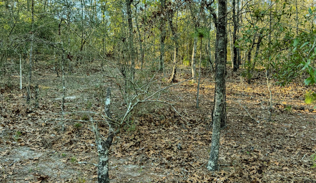 073N20280550200060-6