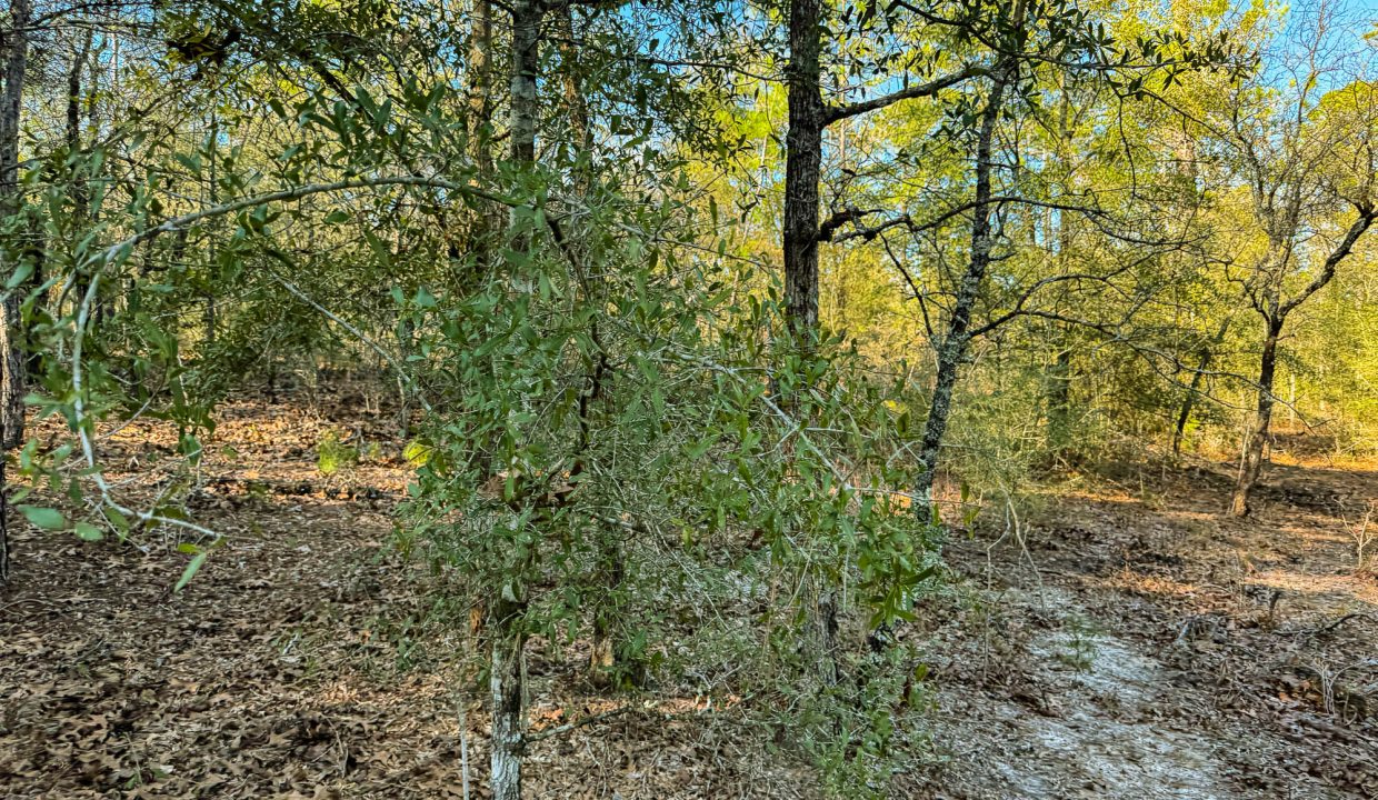 073N20280550200060-8