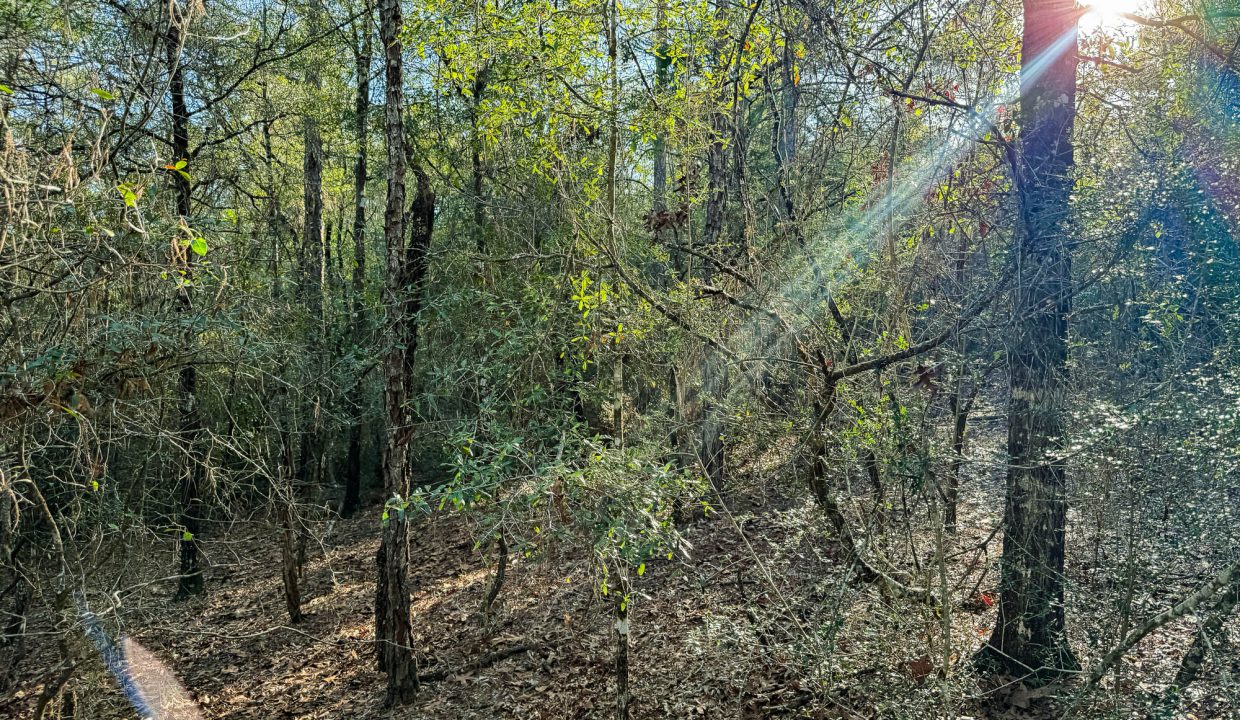 073N20280550200060-10