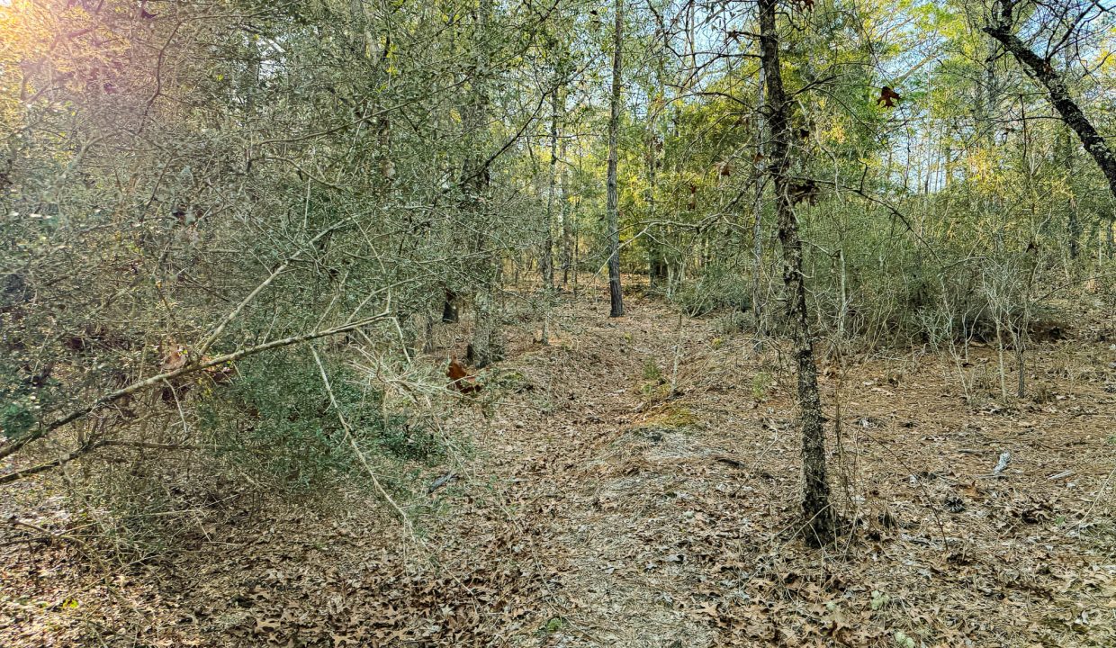 073N20280550200060-12