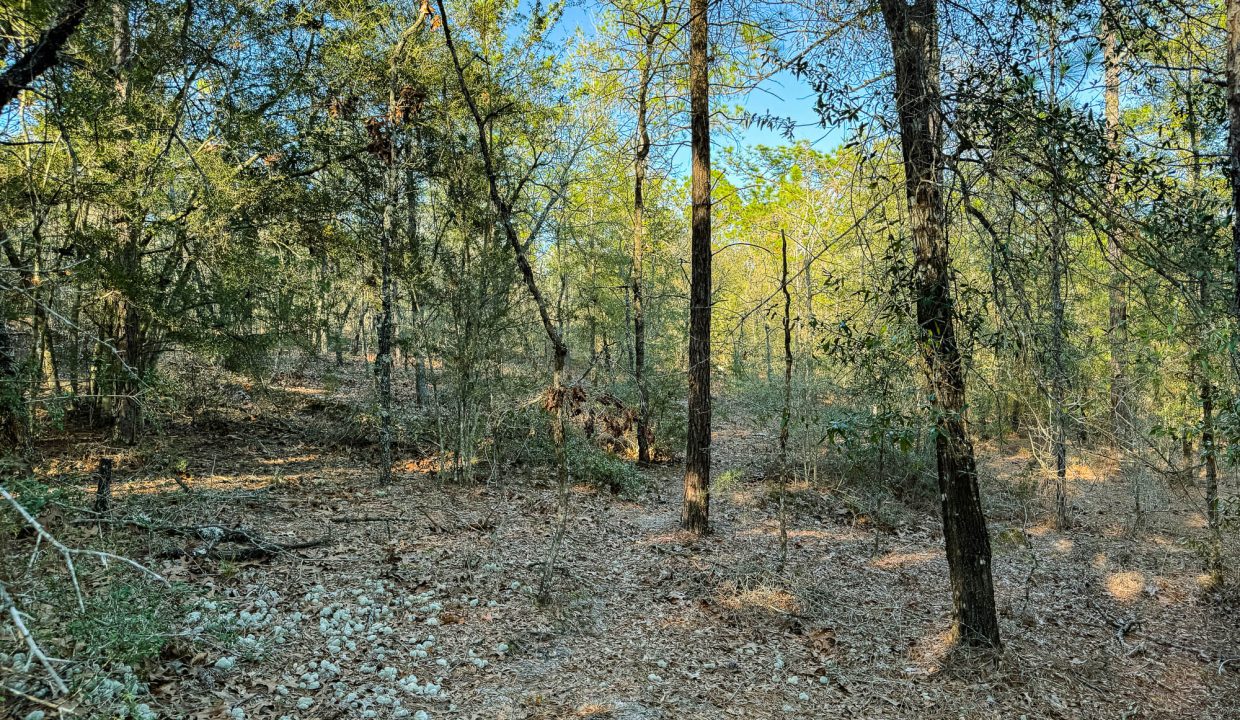 073N20280550200060-16