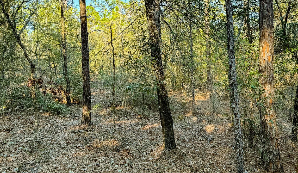 073N20280550200060-17