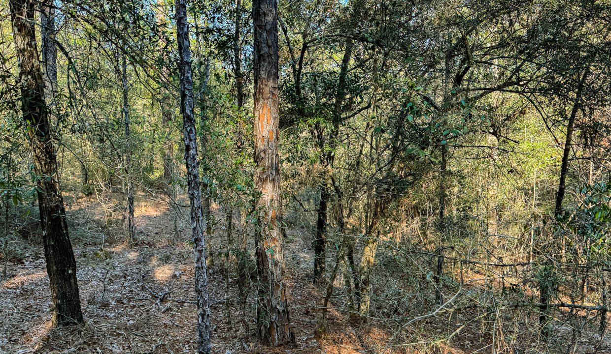 073N20280550200060-18