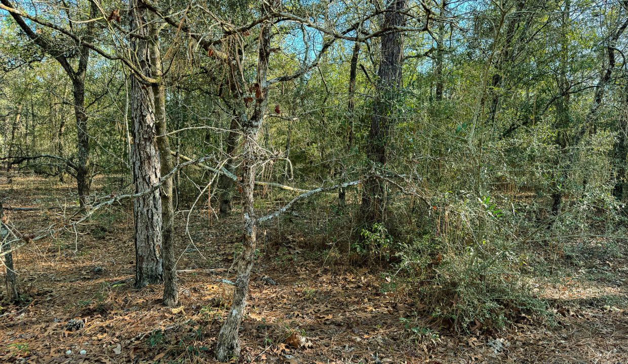 073N20280550200060-21
