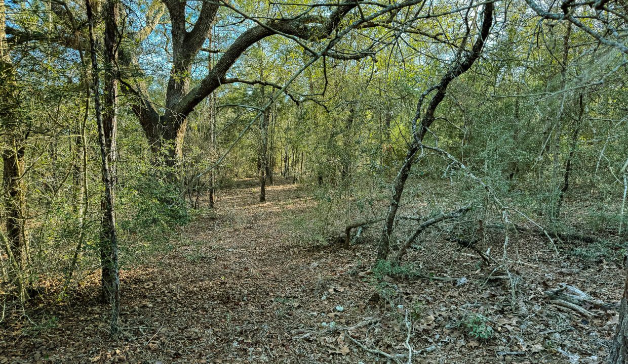 073N20280550200060-22