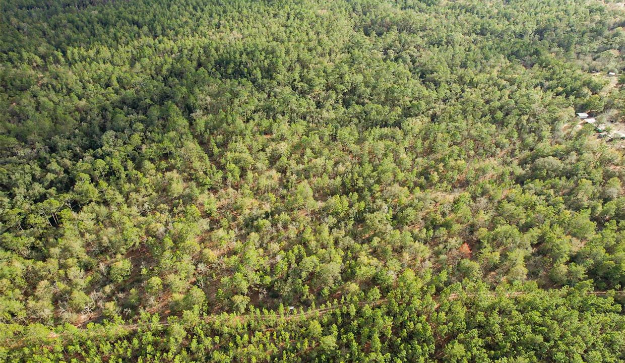 073N20280550200060-aerial-1