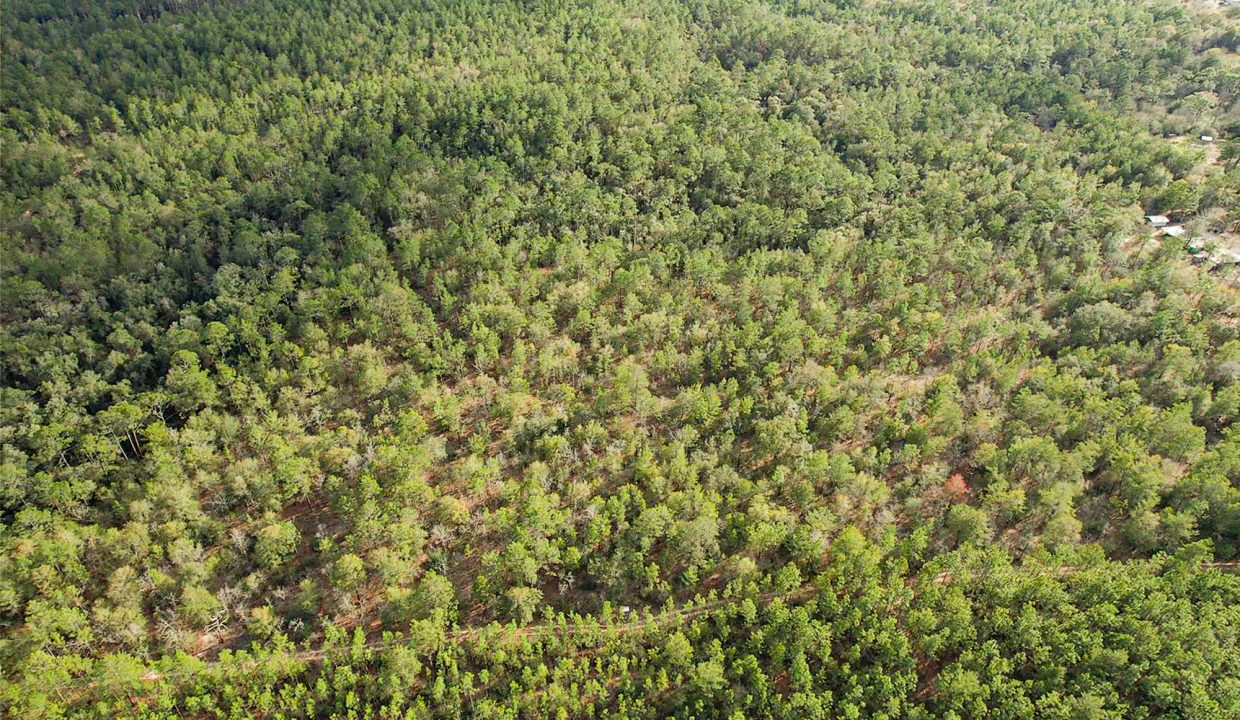 073N20280550200060-aerial-2