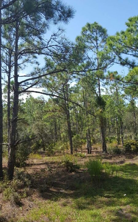 490 summer hill-C-22-37-30-160-1670-0530_1