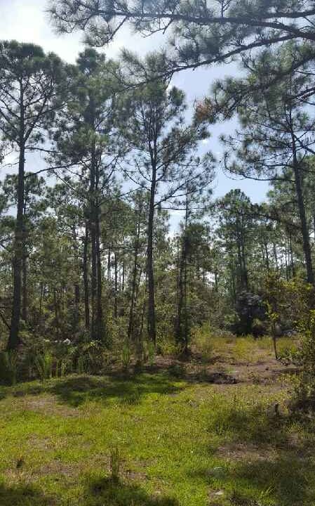 490 summer hill-C-22-37-30-160-1670-0530_3