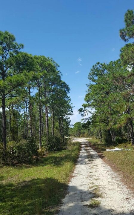 490 summer hill-C-22-37-30-160-1670-0530_9