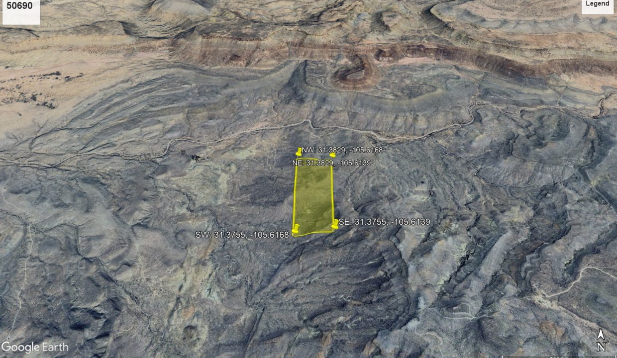 50690_GE Looking_North