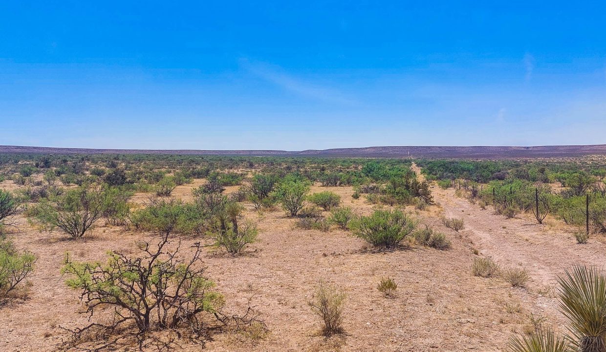 Area Image-7