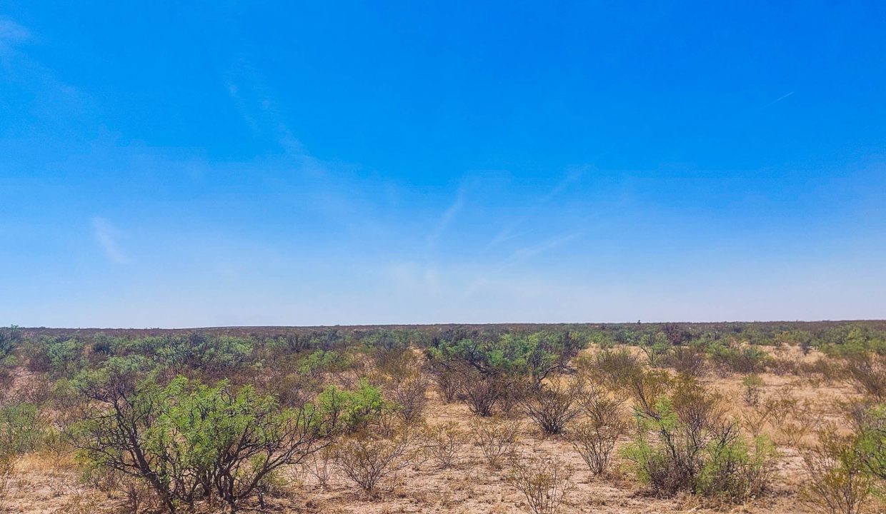 Area Image-17