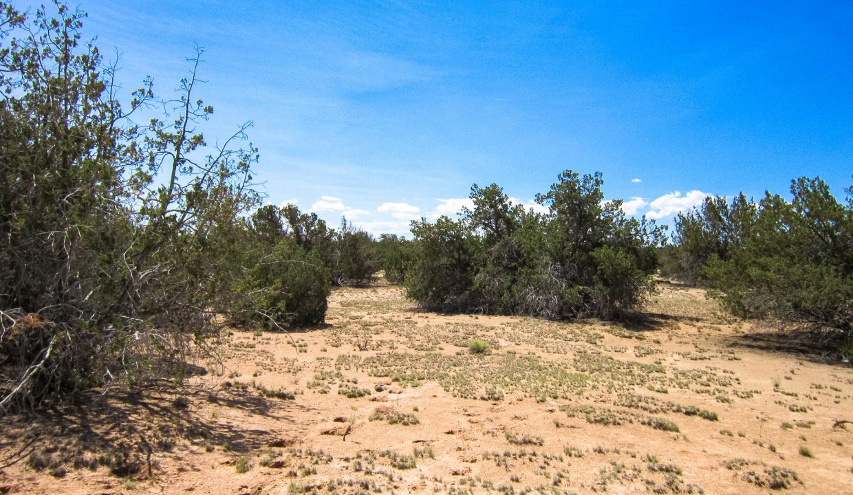 APN 205-13-037D Juniper Grove