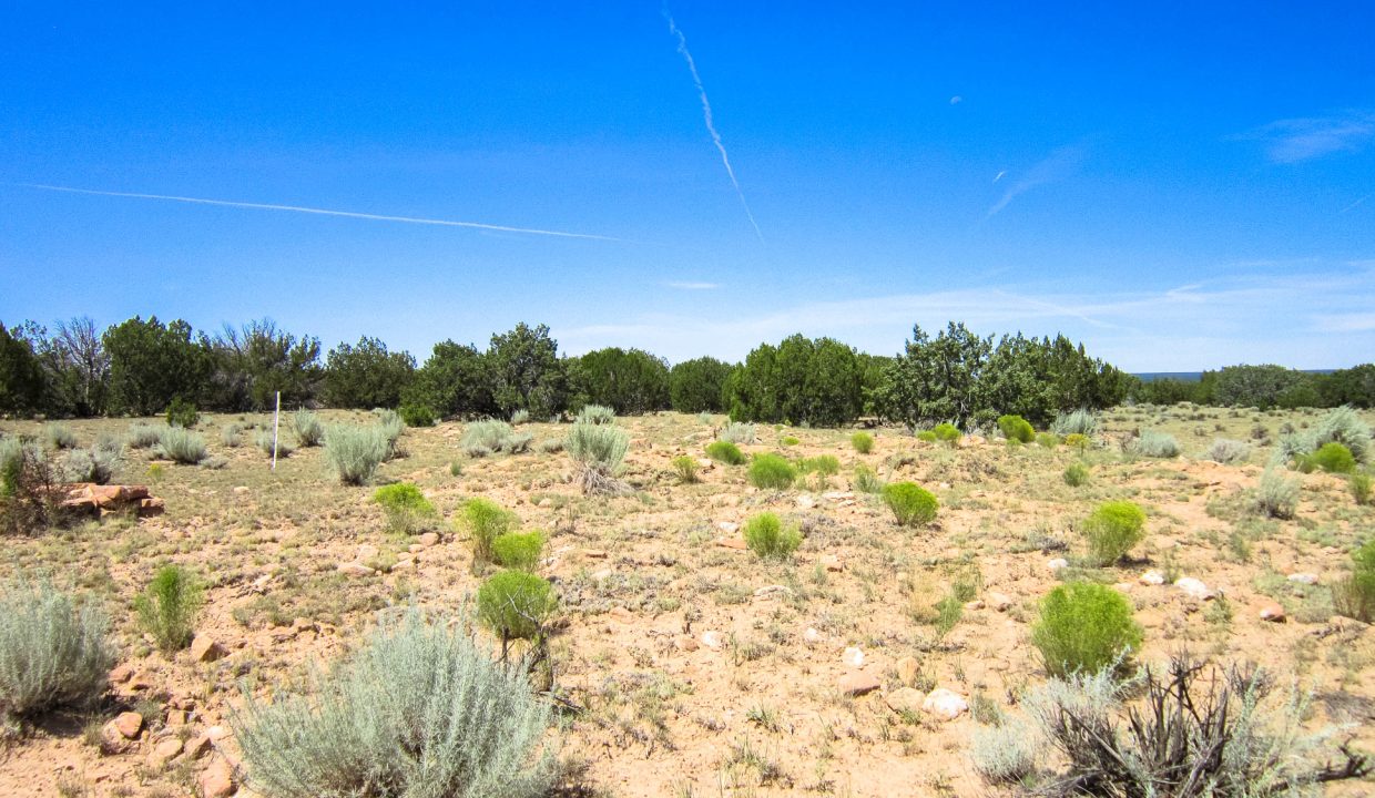 APN 205-13-042E Ruins (2)