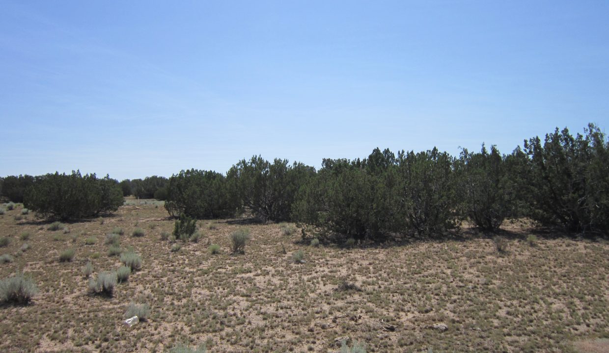 APN 205-13-042E East View