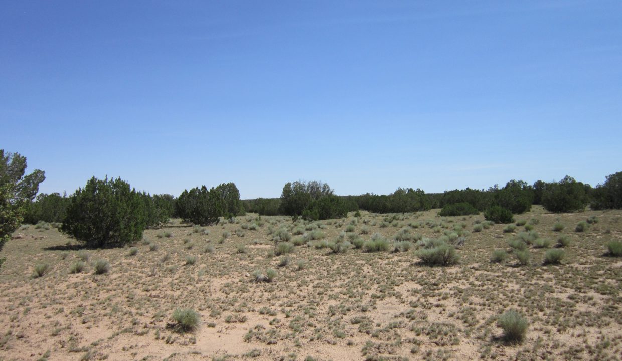 APN 205-13-042E NE view (2)