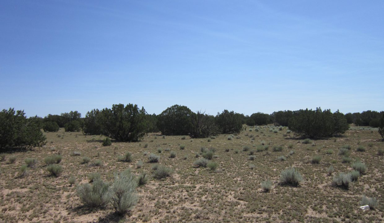 APN 205-13-042E NE view