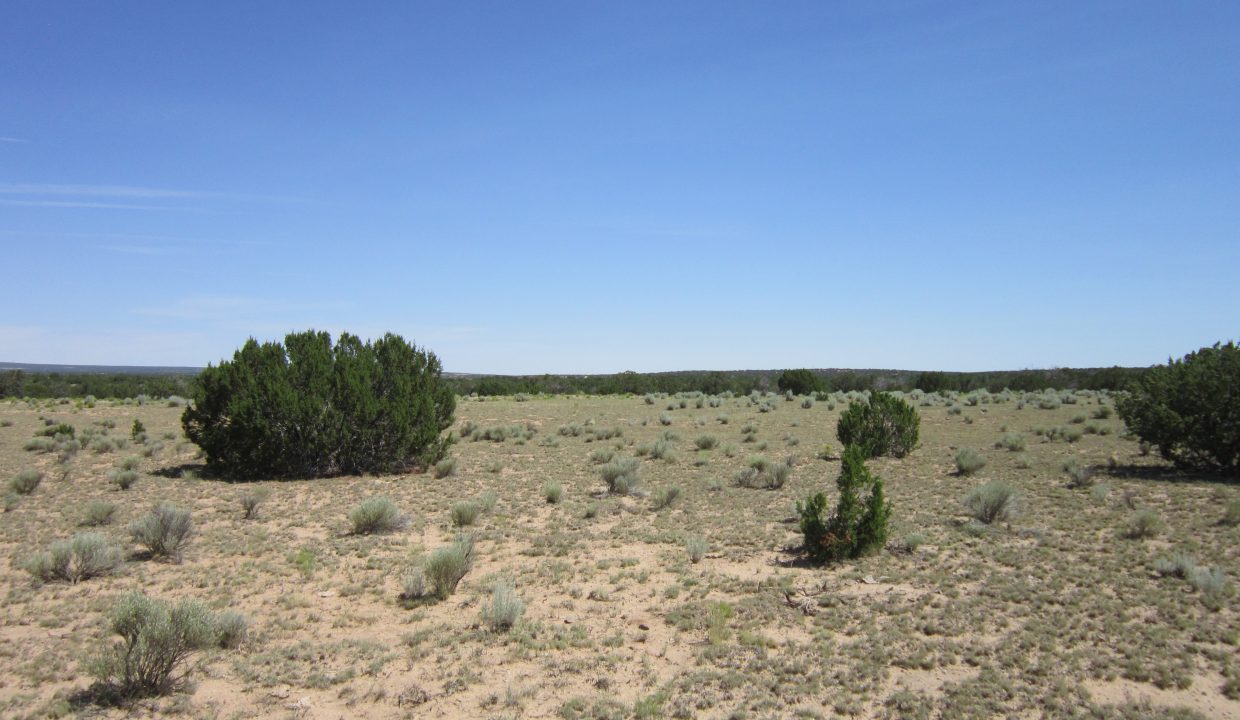 APN 205-13-042E North view