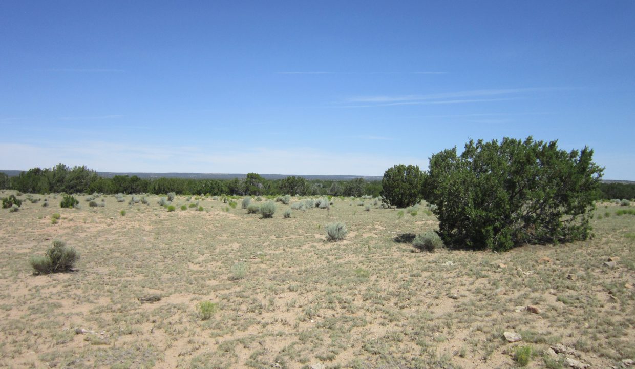 APN 205-13-042E NW view (2)