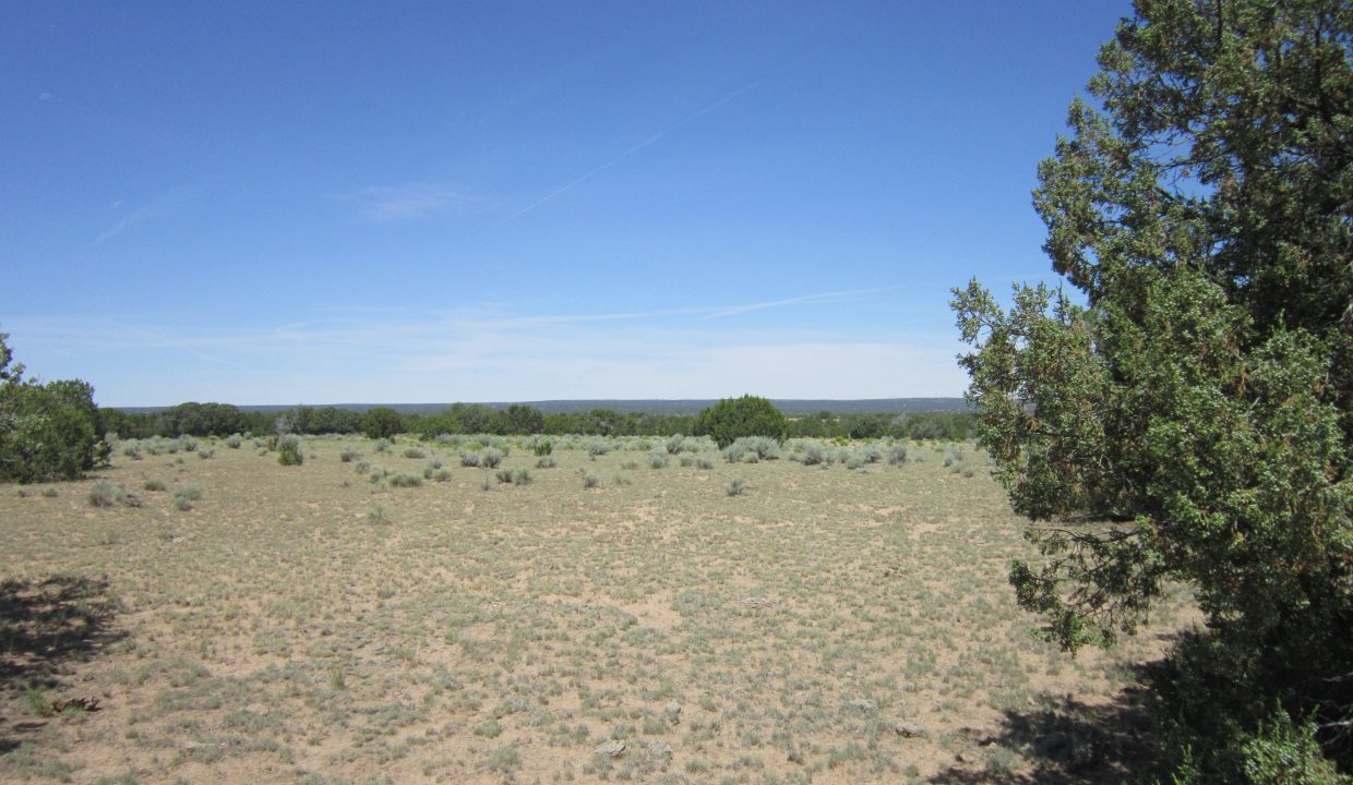 APN 205-13-042E NW view (3)