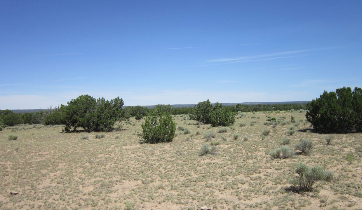 APN 205-13-042E NW view