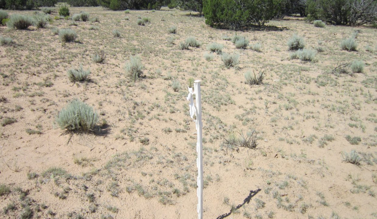 APN 205-13-042E Possible SW corner marker