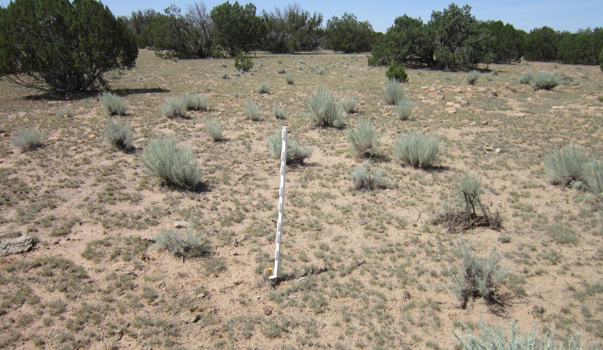 APN 205-13-042E Possibly SE corner