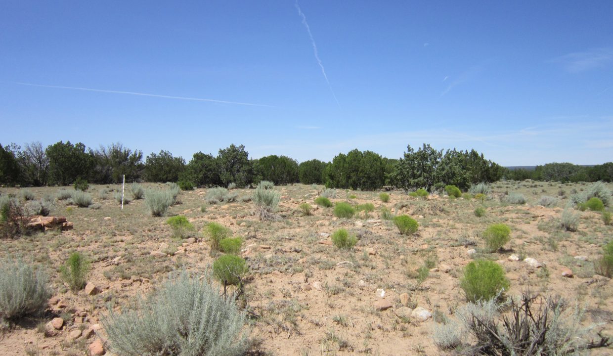 APN 205-13-042E Ruins (2)