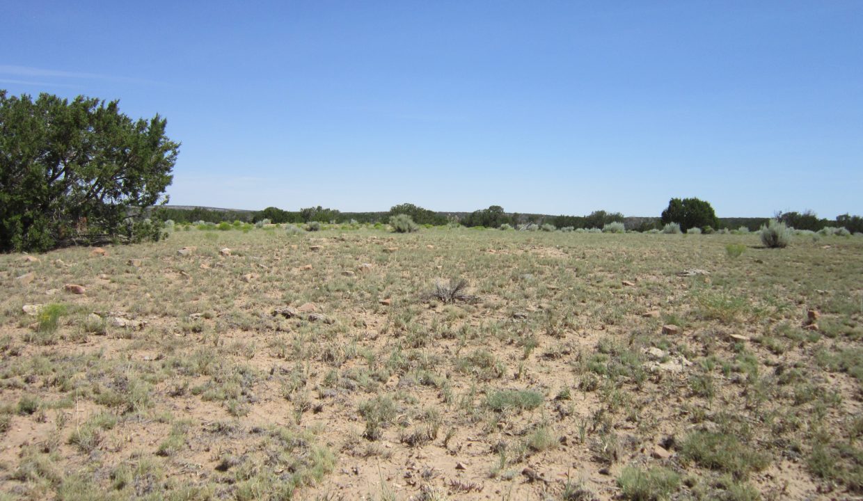 APN 205-13-042E Ruins