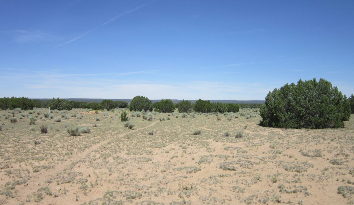 APN 205-13-042E SE view