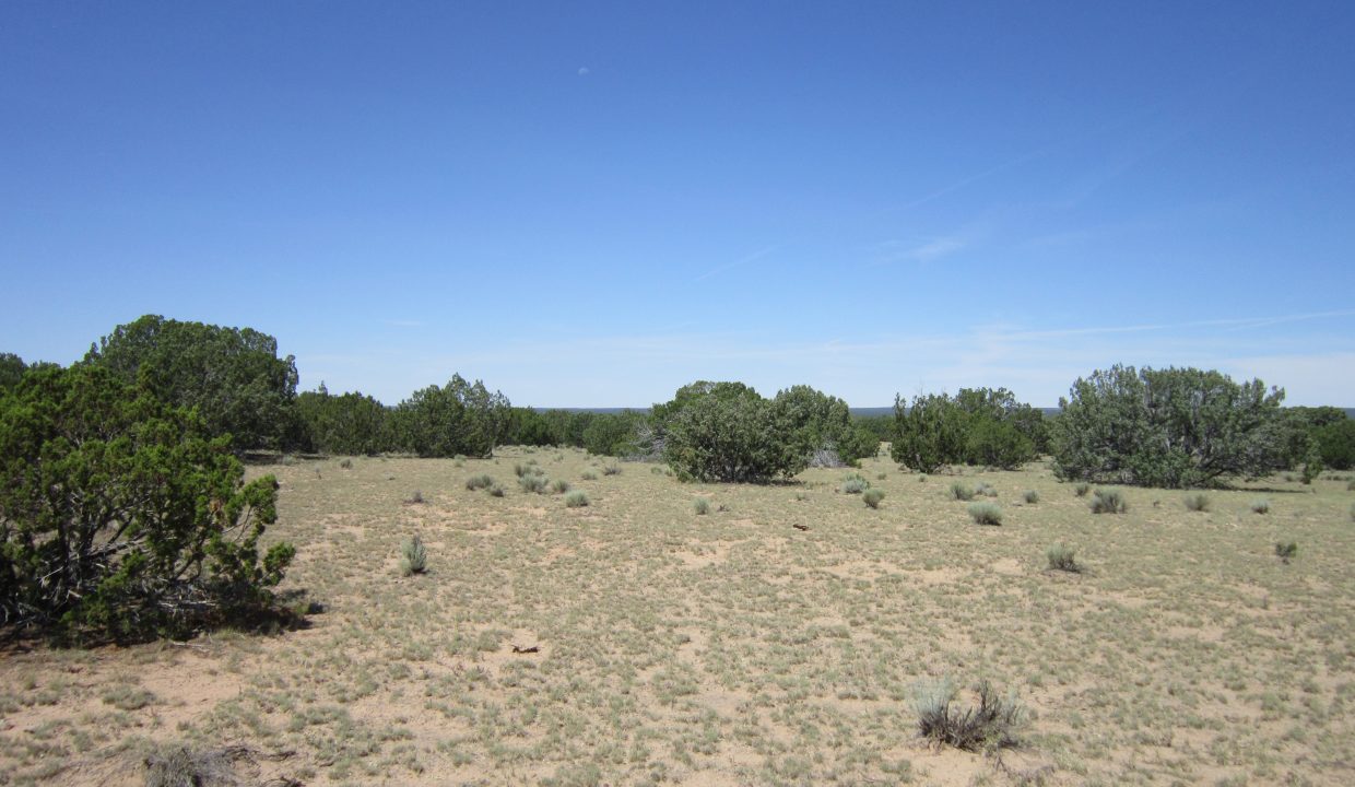 APN 205-13-042E SW view (2)