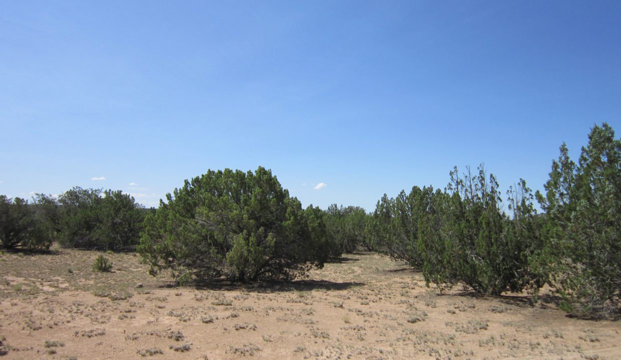 APN 205-13-042E SW view