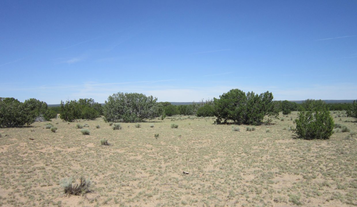 APN 205-13-042E West view