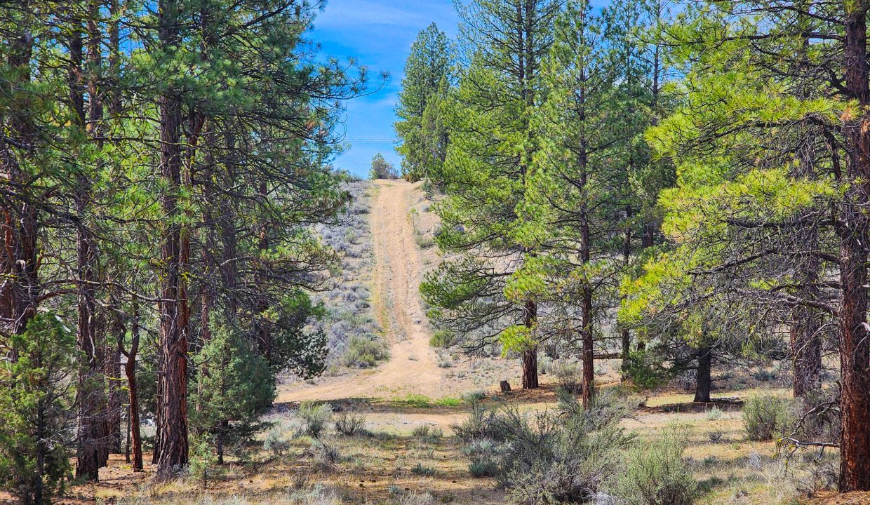 Alternate southern driveway 1