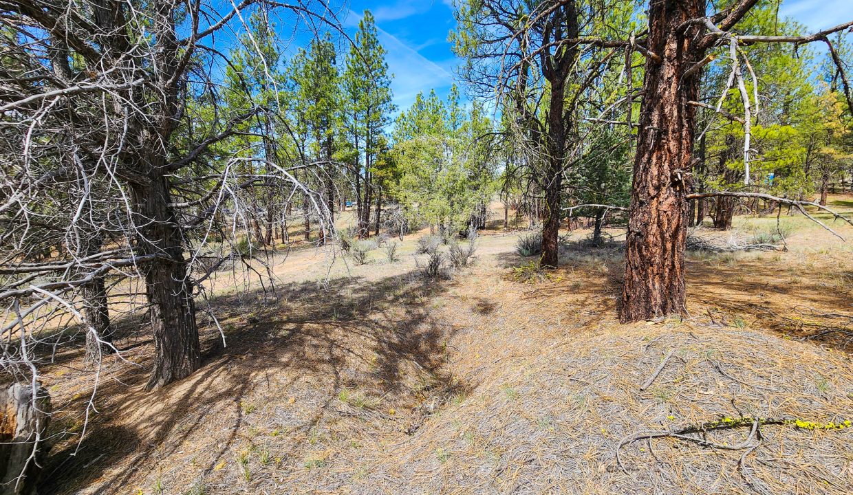 Hole near W edge of property 1